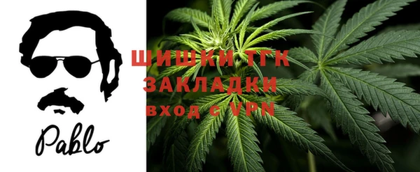 индика Абаза
