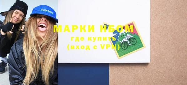 индика Абаза