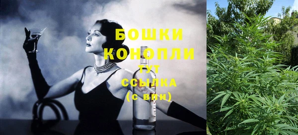 индика Абаза