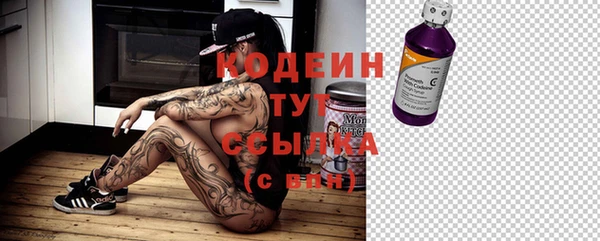 индика Абаза
