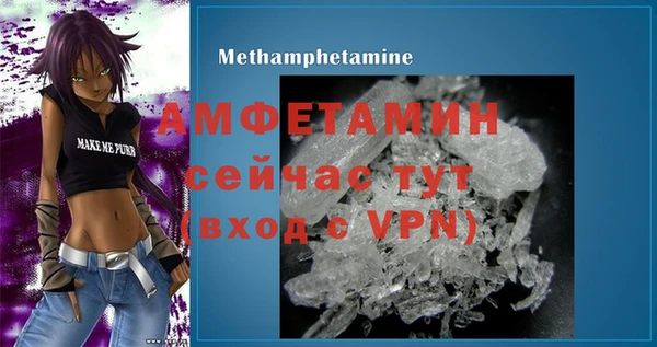 индика Абаза