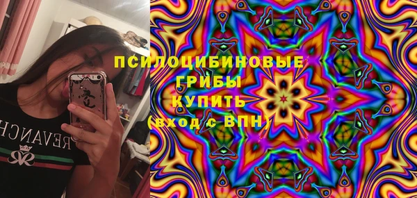 индика Абаза