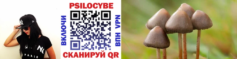 Галлюциногенные грибы Psilocybe  где найти наркотики  Яблоновский 